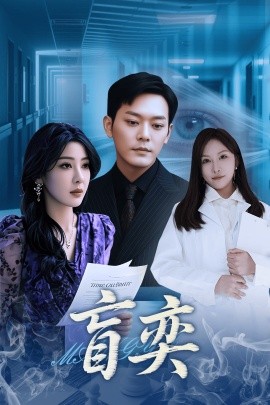 盲奕（40集）王艺珂 (2025)-多米联创