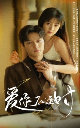 爱你不逢时 (2024)-多米联创