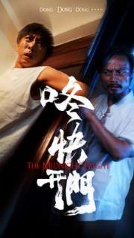 咚快开门 (2024)-多米联创