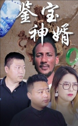 鉴宝神婿 (2024)-多米联创