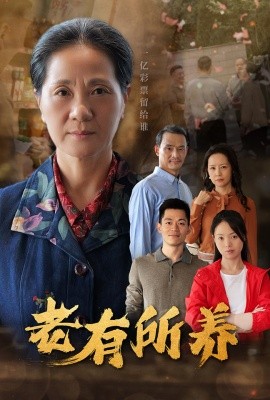 老有所养 (2024)-多米联创