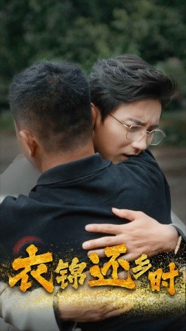 衣锦还乡时 (2024)-多米联创