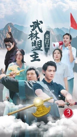 武林盟主来打工 (2024)-多米联创