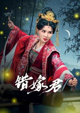 错嫁君 (2025)-多米联创