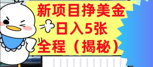 最新挣美金项目，日入5张，全程揭秘，小白也能轻松入手，长久被动收入-多米联创