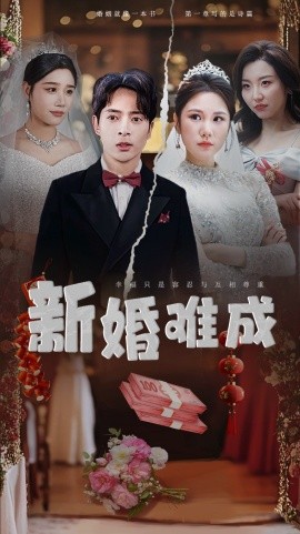 新婚难成（60集）(2025)-多米联创