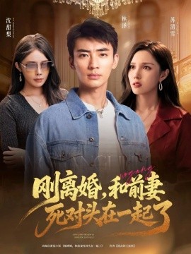 刚离婚，和前妻死对头在一起 (73集) (2025)-多米联创