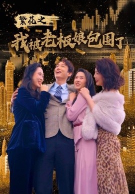 繁花之我被老板娘包围了 (2024)-多米联创