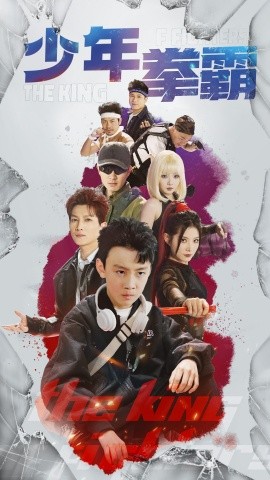 少年拳霸（60集）刘灿&徐科 (2025)-多米联创