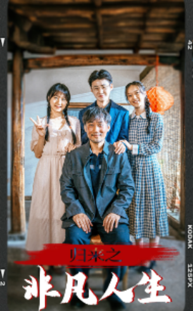 归来之非凡人生 (2024)-多米联创