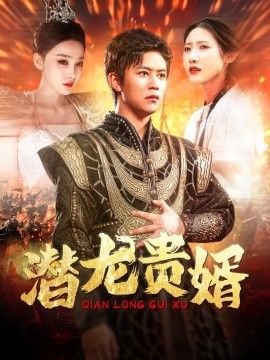 潜龙贵婿 (2024)-多米联创