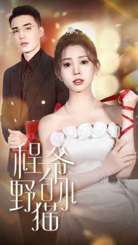 程爷的小野猫 (2024)-多米联创