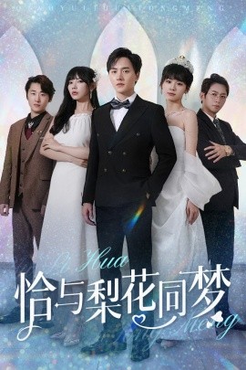 恰与梨花同梦 (2025)-多米联创