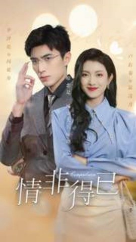 情非得已 (2024)-多米联创