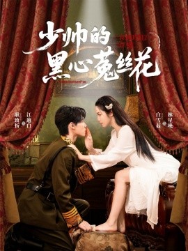 少帅的黑心菟丝花（60集）耿致忻＆白雪茹 (2025)-多米联创