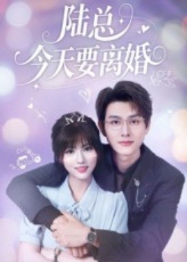 陆总今天要离婚（81集）陈凯洲&李泫逸 (2025)-多米联创