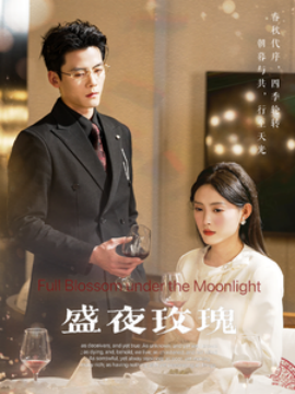 盛夜玫瑰 (2025)-多米联创