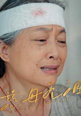 慈母无泪（30集）(2025)-多米联创