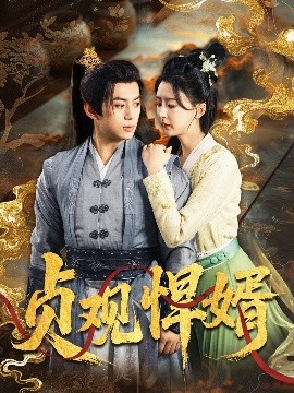 贞观悍婿（74集）杨帆 (2025)-多米联创