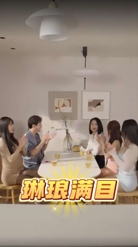 琳琅满目 (2025)-多米联创
