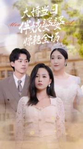 大婚当日伴娘婆婆惊艳全场 (2024)-多米联创
