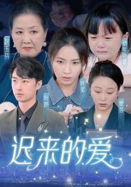 迟来的爱 (2024)-多米联创