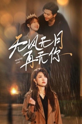 无风无月再无你 (2024)-多米联创