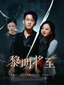 黎明将至 (2024)-多米联创