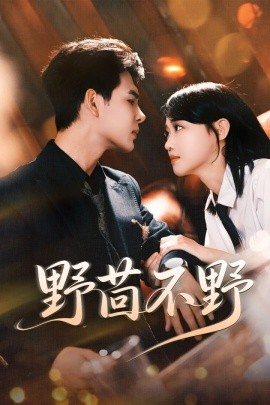 野茴不野（67集）靳旺＆龚芳妮 (2025)-多米联创