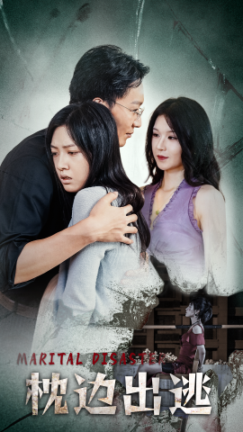 枕边出逃 (2024)-多米联创