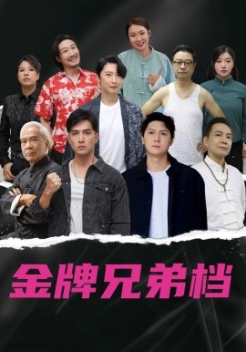 龙虎兄弟（60集）粤语版 (2025)-多米联创