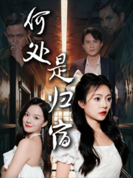 何处是归宿 (2024)-多米联创