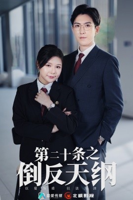 第二十条之倒反天纲 (2024)-多米联创