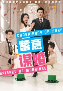 蓄意谋婚 (2025)-多米联创