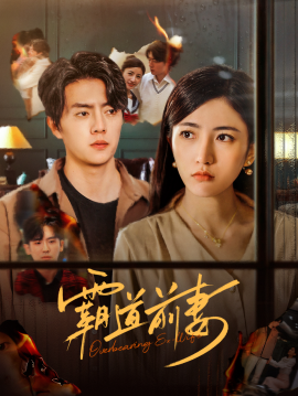 霸道前妻 (2025)-多米联创