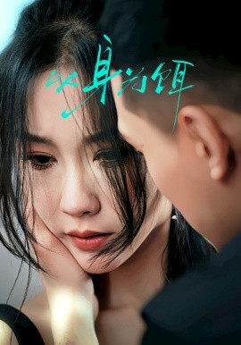 以身为饵（31集）王慧龙＆李瑾 (2025)-多米联创