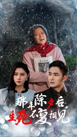 那年除夕后，生死不复相见 (2025)-多米联创