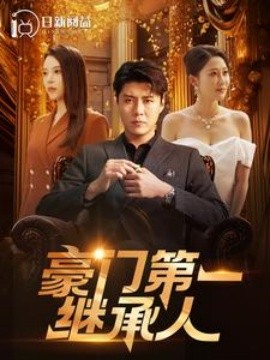 豪门第一继承人 (2024)-多米联创