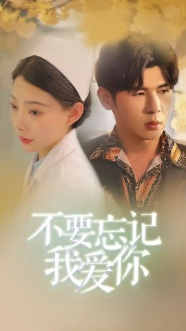 不要忘记我爱你 (2024)-多米联创