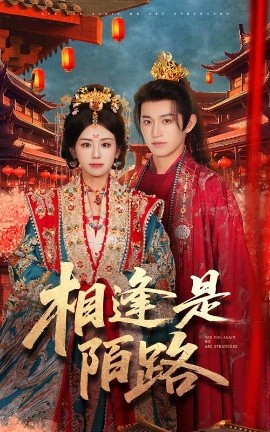 相逢是陌路（50集）卓杭&林七 (2025)-多米联创