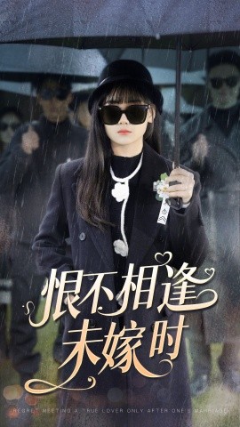 恨不相逢未嫁时 (2024)-多米联创
