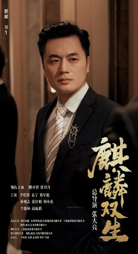 麒麟双生 (2024)-多米联创