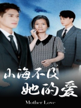 山海不及她的爱 (2024)-多米联创