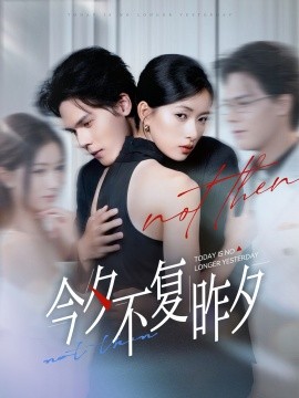 今夕不复昨夕 (69集) (2025)-多米联创