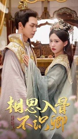 相思入骨不识卿 (2024)-多米联创