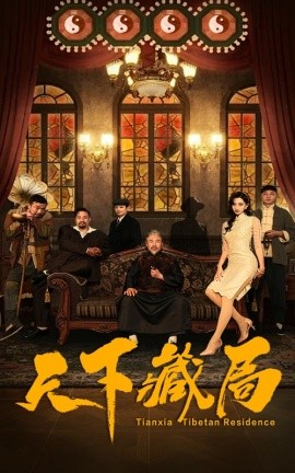 天下藏局 (2025)-多米联创