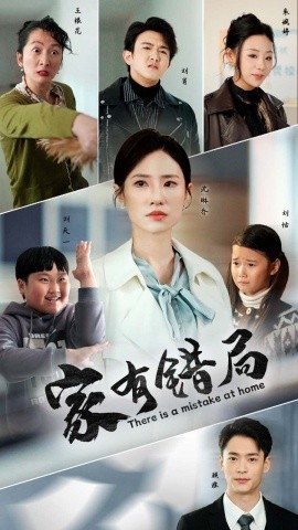 家有错局 (2025)-多米联创
