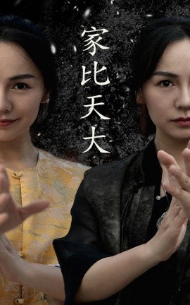 家比天大 (2024)-多米联创