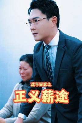 过年回家之正义薪途 (2025)-多米联创