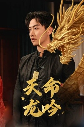 天命龙吟 (2024)-多米联创